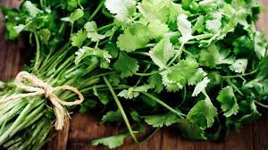 Check spelling or type a new query. Why Does Cilantro Taste Like Soap To Some People Mental Floss