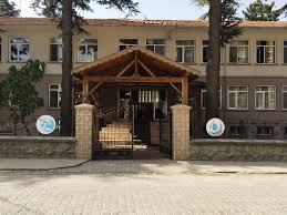 Orman genel müdürlüğü içerikleri, son dakika haberleri ve daha fazlası haber7'de. Tanitim