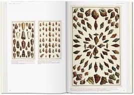Jul 21, 2021 · introduction. Seba Das Naturalienkabinett Taschen Verlag