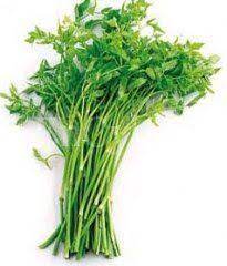 Korean Minari Flamingo Herbs Watercress Vegetable Seed