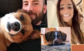 'best buds' pets // november 15, 2020 from mr. Amor Pelos Pets Une Chris Evans E Aly Raisman E Gera Burburinho Sobre Possivel Romance Entre Eles Play Na Fofura Notas Glamurama