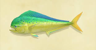 Welcome to the animal crossing subreddit! Acnh Mahi Mahi How To Catch Price Animal Crossing Gamewith