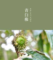 青白橡| 日本传统色