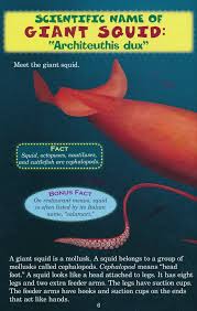 Who Would Win Whale Vs Giant Squid