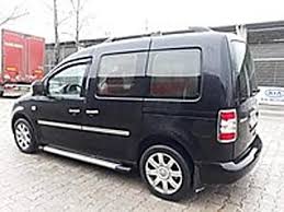 vosvogen kedi ankara evcil hayvan blog