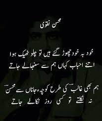Pin By Asma Mujeer On Mohsin Naqvi Daily Inspiration Quotes Mixed Feelings Quotes Poetry Feelings