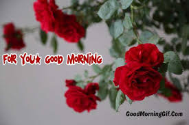 Weekends are great, and everyone loves them, as it is saturday, be like a bird and spread the wings of your dreams in the sky. Sunday Morning Quotes And Images Gif Good Morning Nature Images With Quotes For Whatsapp Facebook Dogtrainingobedienceschool Com