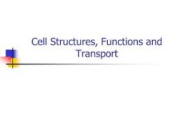 We did not find results for: Chapter Five Cell Structure And Function 5 1 What Are Cells 5 2 Cells A Look Inside Ppt Download