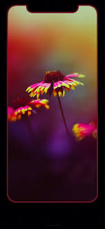 the iphone x xs wallpaper thread page 41 iphone ipad ipod forums at imore com iphone wallpaper photos live wallpaper iphone new wallpaper iphone