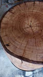Pin On Workshop87 Tree Trunk Furniture