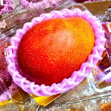 7 underrated foods from miyazaki prefecture that are worth trying. Miyazaki Kanjuku Mango 5l Size 600 650g Approx Momobud
