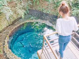 東京から日帰りで満喫 水の都 三島 でやりたいこと おすすめ観光スポット 伊豆 観光 日帰り 日帰り旅行