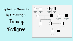 Draft a family tree outline. Exploring Genetics By Creating A Family Pedigree Kristin Moon Science
