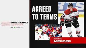 A team of editors takes feedback from our visitors to keep trivia as up to date and as accurate as possible. Release Mercer Agrees To Terms On Elc