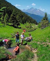 Alles weten over camping la vacance pène blanche in occitanië : L Ucpa Et Vvf Creent Une Offre Bien Etre Et Sport