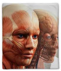 Coperta di peluche Viso Anatomia Umana