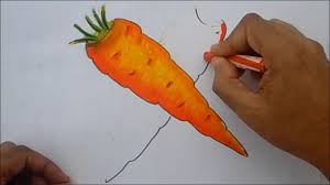 How To 3d Art Carrot Draw A Carrot Easy Step By Step 3d Carrot Draw Carrot Drawing 3d Art Craft Studio