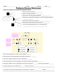 Free genealogy is available on the internet, but these kits tend to be expensive. Pedigree Punnett Square Review