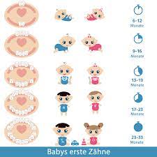 Ab wann sie ihrem baby die zähne putzen sollten und wie. Reihenfolge Der Zahne Beim Zahnen Zahnen Baby Hilfe Fur Ein Zahnendes Baby