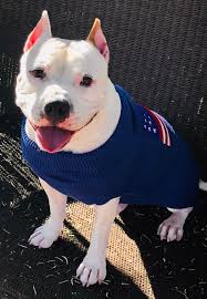 He looks like he's about to interview me...