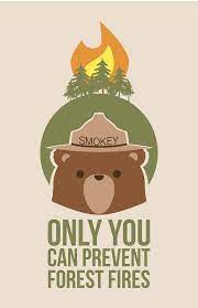 Image Result For Bear Art Bear Art Art Smokey