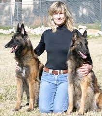 Our classes are taught by certified trainers and. Training In Phoenix Az Deer Creek Animal Hospital
