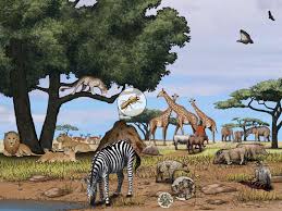 Do you know which of the animals in south africa belong to the big five? African Savanna National Geographic Society