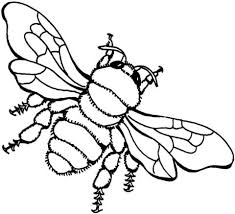 Flying bee in sky cute cartoon funny fat vector. Bee 3 Coloring Page From Bees Category Select From 24724 Printable Crafts Of Cartoons Nature Animals Bee Coloring Pages Pyrography Patterns Coloring Pages