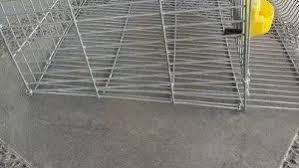 Tapi perawatan dan panen telur puyuh jauh lebih gampang ketika kita membudidayakan puyuh petelur pada kandang baterai. Jual Kandang Baterai Puyuh Petelur Murah