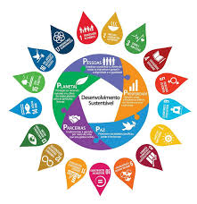 Objetivos de Desenvolvimento Sustentável (ODS) | CONEXÃO AMBIENTAL