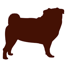 Download Dog Pug Silhouette Transparent Png Svg Vector File