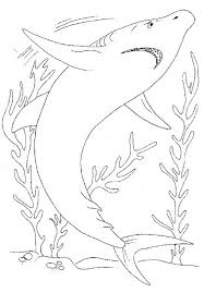 Pictures Of Sharks For Kids To Color In Shark Pictures Sharks For Kids Shark Coloring Pages