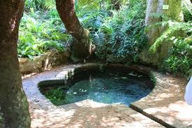 Cape Town Kirstenbosch Botanical Gardens Purple Garden Bird Bath Beautiful Backyards