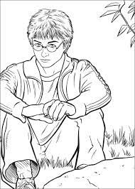 Daniel silva junho 27, 2014 nenhum comentário. Harry Potter Coloring Page Paginas Para Colorir Para Adultos Desenhos Para Colorir Colorir