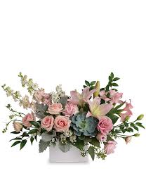 Indoor succulents are taking the gardening world by storm. Romance Succulent Arrangement At From You Flowers