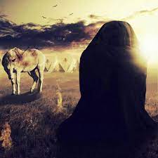 اجمل صوره زينب الكبرى ع karbala photography battle of karbala islamic pictures