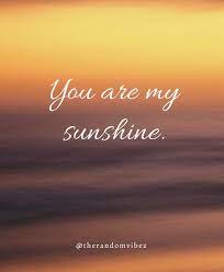 Victor hugo on the flower of life. 80 You Are My Sunshine Quotes To Brighten Your Day