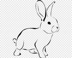 Dibujos en blanco y negro. Conejito De Pascua Conejo Domestico Dibujo Animales Domesticos Blanco Y Negro Blanco Mamifero Png Pngegg