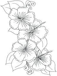 The flower is purple coloring page twisty noodle. Violet Coloring Pages Best Coloring Pages For Kids Coloring Home