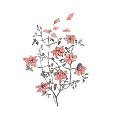 Arabella Flower Drawing Tumblr Tumblr Flower Flower Drawing