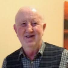 What is the purpose of the concrete structure in the backyard?