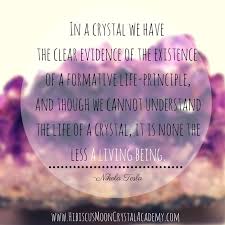 Are Crystals Alive Hibiscus Moon Crystal Academy