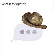 What Wot In Tarnation Memes Cowboy Hat Jokes Memes Me Too Meme Just For Laughs