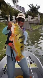 We did not find results for: Malaysia Peacock Bass Fishing Guide Puchong Address Phone Number Tripadvisor
