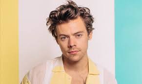 Terá Harry Styles um TikTok secreto?