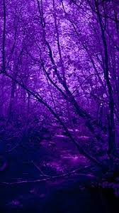 We did not find results for: Sfondi Paesaggi Viola