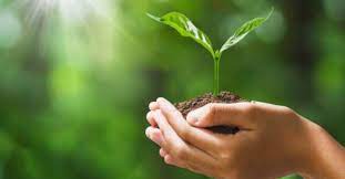 Environment is the most important aspect to survive on this planet. Today Is World Environment Day Caricom