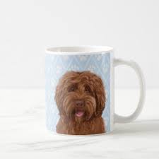Coffee machine brands australian labradoodle pictures puppy. Labradoodle Gifts Gift Ideas Zazzle Uk
