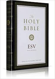 The Holy Bible English Standard Version Unknown 9781581343168 Amazon Com Books