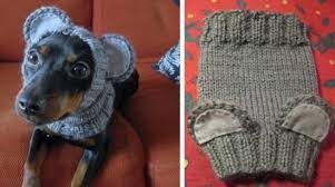 Knitted Dog Hat With Ears Easy Free Patterns The Whoot Dog Sweater Pattern Knitting Patterns For Dogs Knitted Dog Sweater Pattern